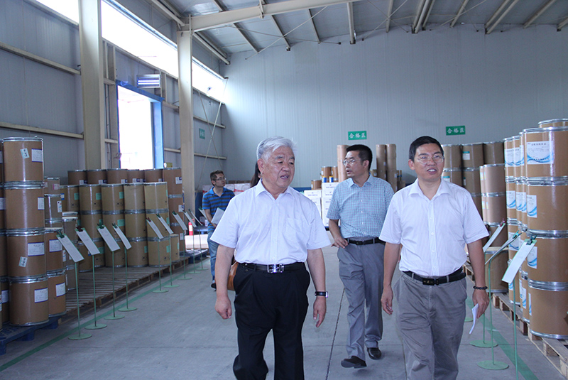 農業(yè)部獸藥評審中心化藥評審處處長段文龍到公司調研